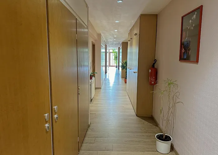 Denriko Хайдельберг