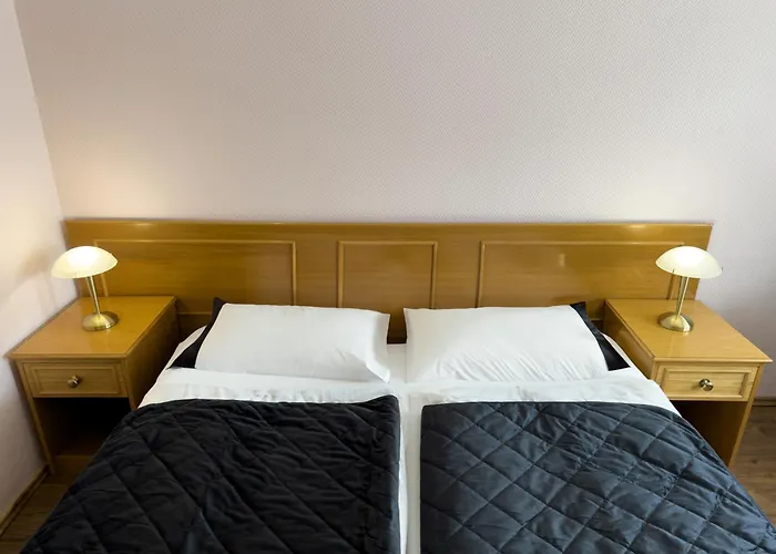 Denriko Хайдельберг